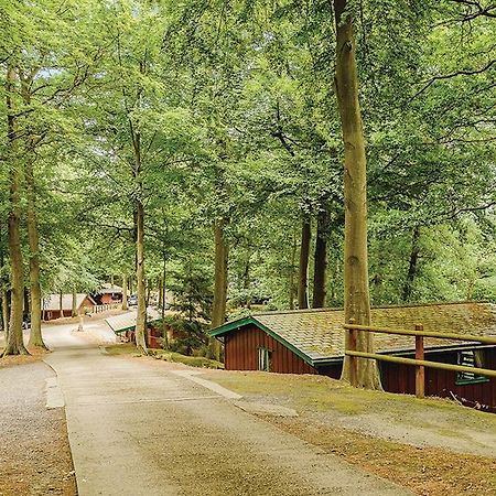 Penllwyn Lodges Монтгомери Экстерьер фото