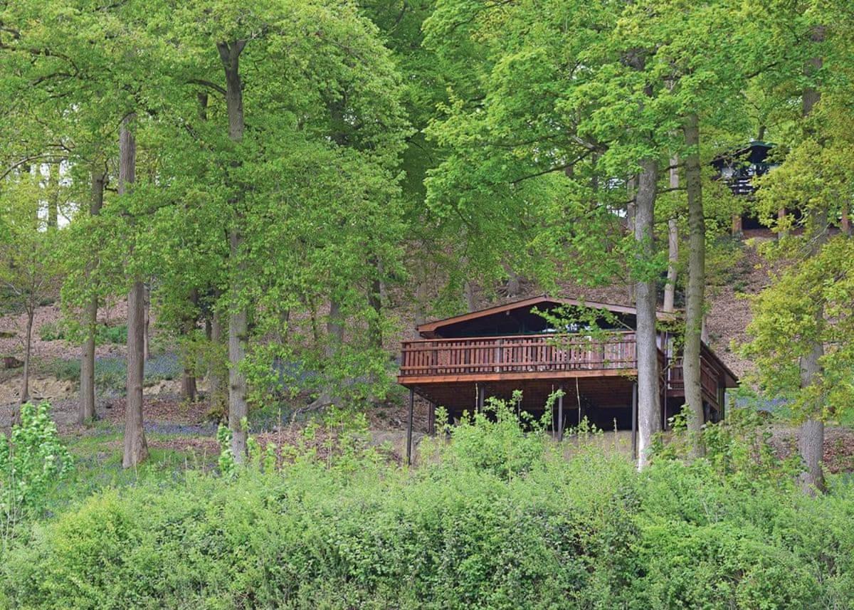 Penllwyn Lodges Монтгомери Экстерьер фото