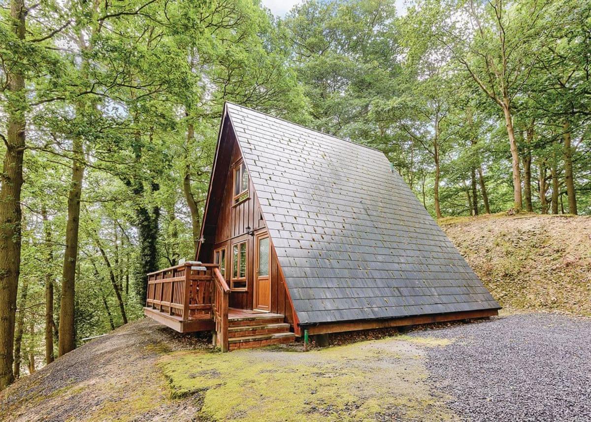Penllwyn Lodges Монтгомери Экстерьер фото