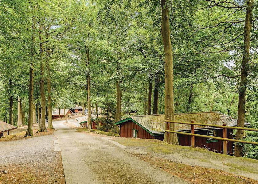 Penllwyn Lodges Монтгомери Экстерьер фото