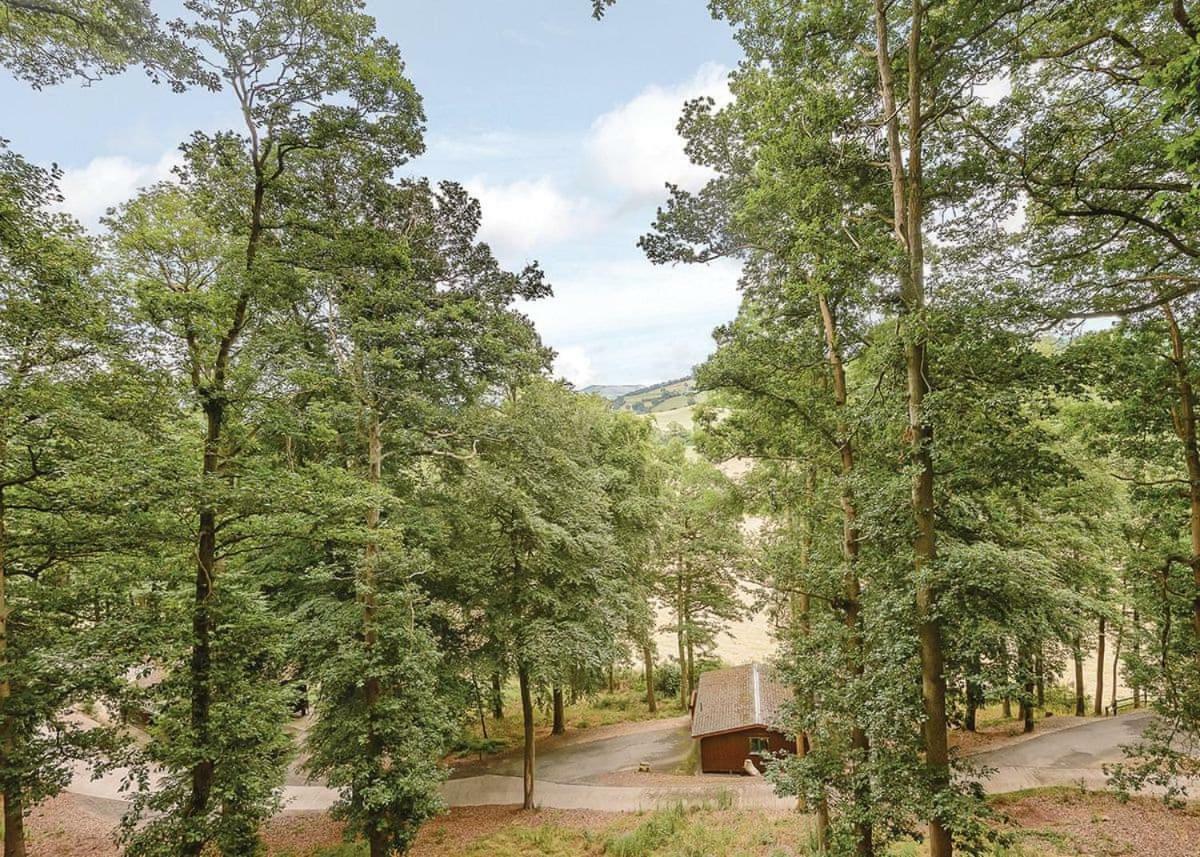 Penllwyn Lodges Монтгомери Экстерьер фото